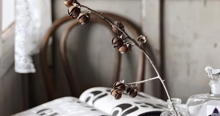 40岁后，别再跟亲人纠缠业力