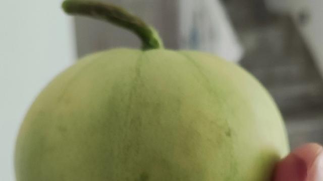 微言细说：生活的美好从来不是政客嘴里的繁