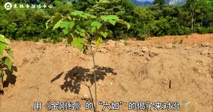 如何解决工作压力大造成的心理压力？