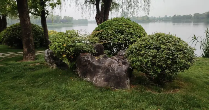 保洁工人的午餐
