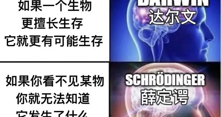 怀念那颗追光的星辰
