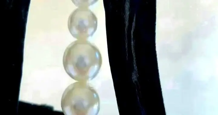 今天算是开了眼了