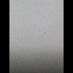 只缘身在此山中：新试飞的玩意？水分子？