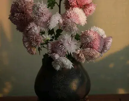 赏花心情愉悦发朋友圈文案‖每一朵花都在诉说着春天的诗篇