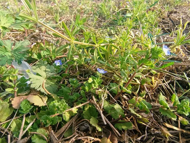 亏妻一时爽？这3种现世报太狠！最后一个让所有男人沉默