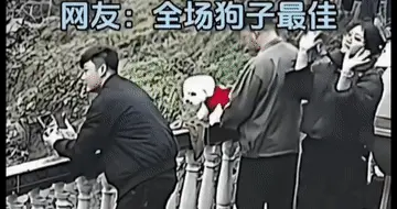 乐极生悲！三姐弟回老家玩无人机却压塌地面，网友评论区玩梗笑疯