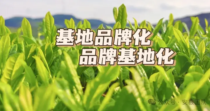 预制菜，预制茶？