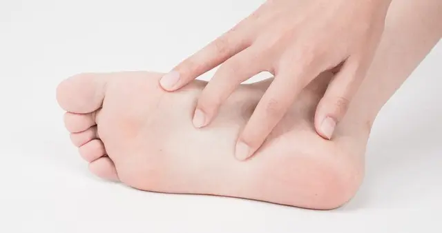 脚比手重要，脚踝转阴阳，树枯根先竭，人老脚先衰