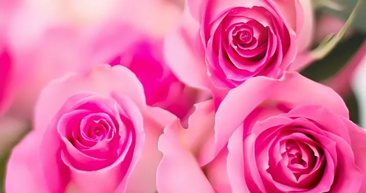 真心爱你的男人，藏不住的三个顶级表现，很扎心