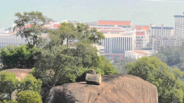 策马写车：我的今日