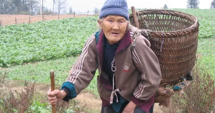 70岁以上老人真干不动农活了，这不是矫情，是最实在的人间真相
