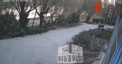 26岁女司机坠河后续，哥哥发声让人心碎，家中70岁父母还没敢告诉