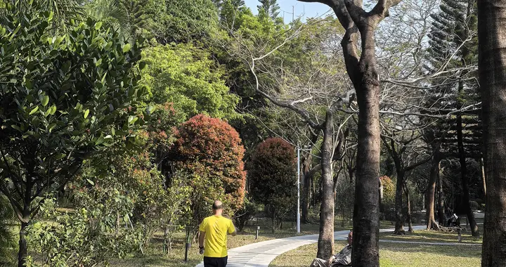 南山有个荔香公园