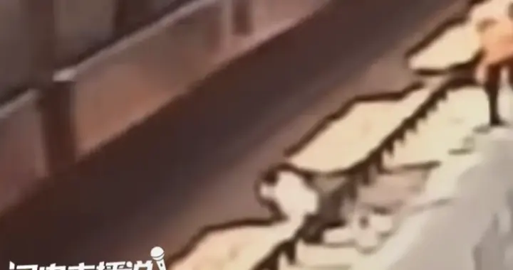 无票男坐“霸王车”被识破，竟将站务员推下铁轨！6秒后列车进站