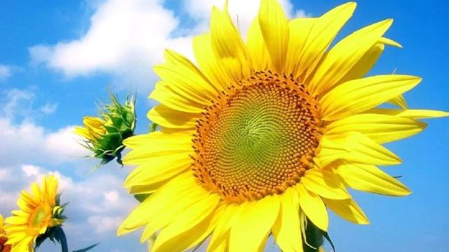 四季更迭醉少年