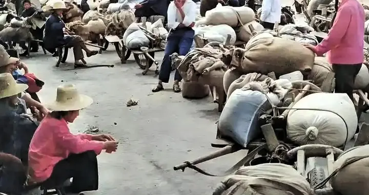 炸锅！代表一句话刷屏：农民交的公粮，就等于交了社保