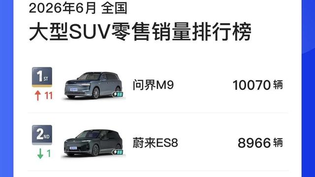 阿源说车：6月9系大型SUV销量迎来了大