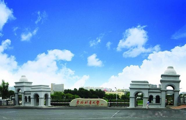 "冷门标签"下的热实力，打破信息差，实现“低分高就”