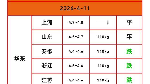 苔痕间觅趣的行者：明天（2026.4.1