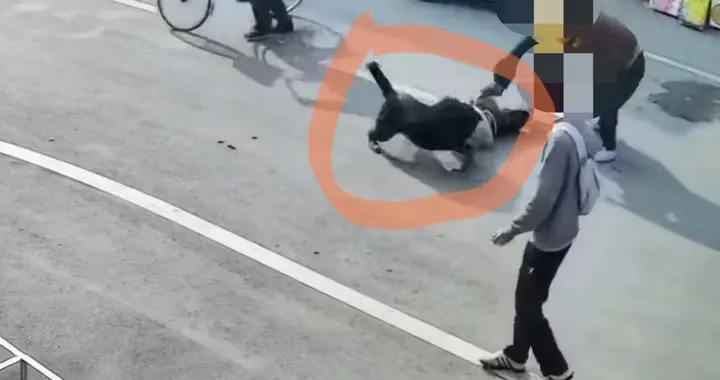 山东临沂物流园大型犬撕咬老人儿童 众人合力救人 狗主人仍未找到