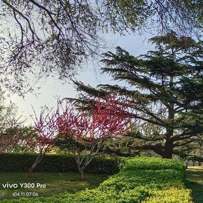 退享人生： 北京