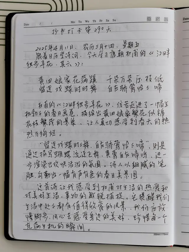 抄书290天：杜甫诗里，邂逅春日的热烈与温柔