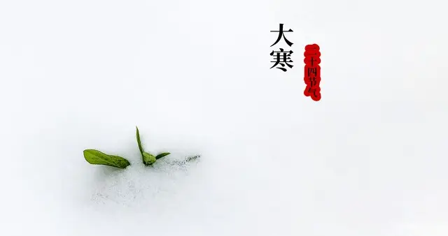 2026年的大寒不一般，4个特点早知道！