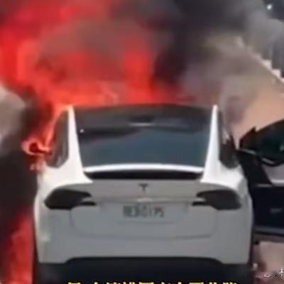 农村人：自从林志颖特斯拉起火事件，这款新