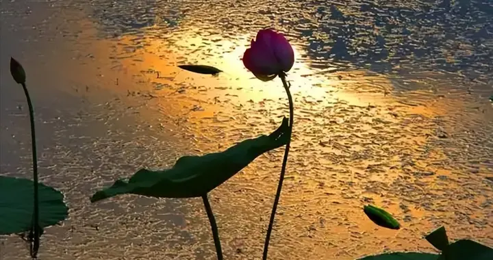 杜甫《春宿左省》：连环画，漫画，画一个忠臣诚臣乐呵呵地加夜班