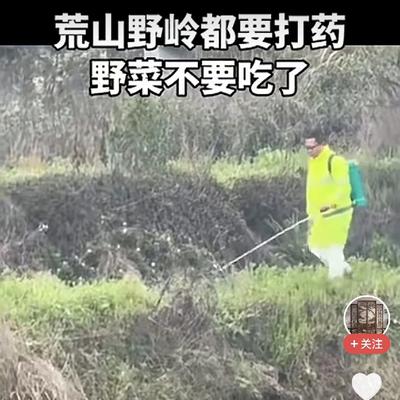 舒元卿：荒山野岭竟然喷起了农药？ 这到底