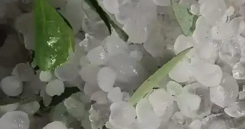 西安突降鸡蛋大冰雹，半小时砸坏大量车辆，一张防晒网保住整车