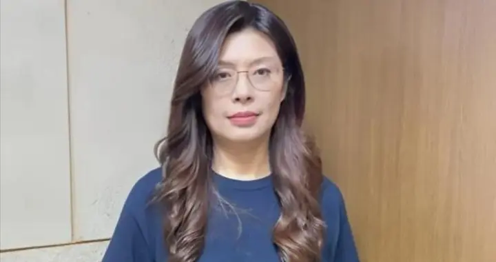 郑丽文赶在来沪前，民进党威胁回来就抓捕，吴伯雄一句话预言结局