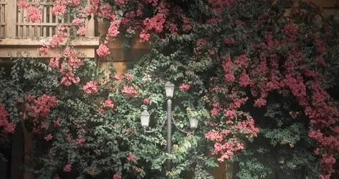 风雨自有归处，磨难终成风景