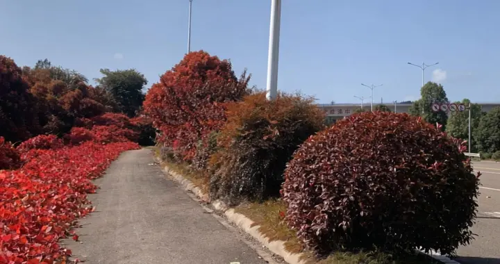 女人能让男人频频回头的，不是美貌、不是奉献，而是有这几个特征