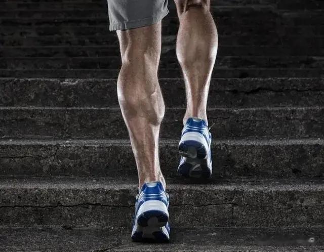 强壮小腿肌肉，打造有力线条