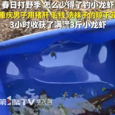 赛尔先锋小队：4月9日，重庆。春日打野季