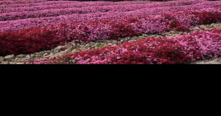 背叛，是人生一面镜子