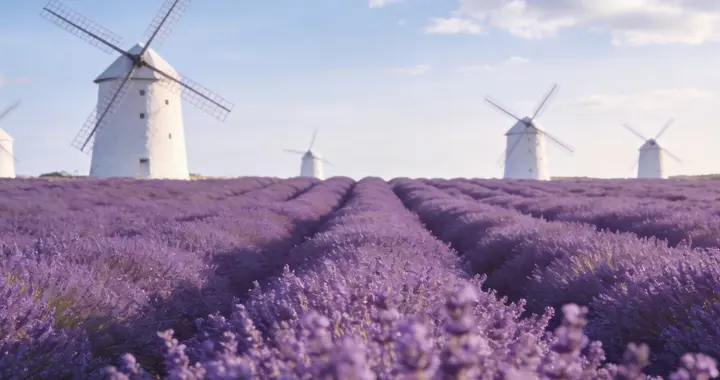 广东人预警！短袖秒换羽绒服