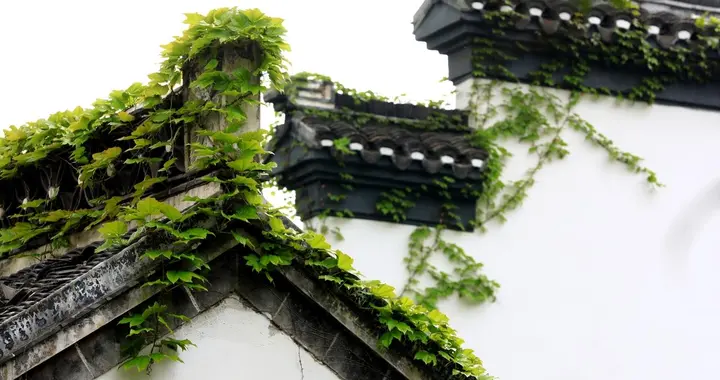 “公谷雨粮满仓，母谷雨旱死牛”，今年谷雨是公还是母，有道理？