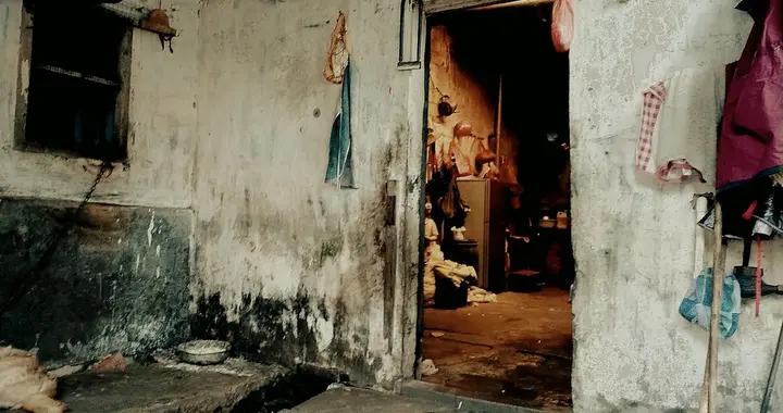 “寒门起家无良方，一生输赢全靠拼”，啥意思，有科学道理吗？