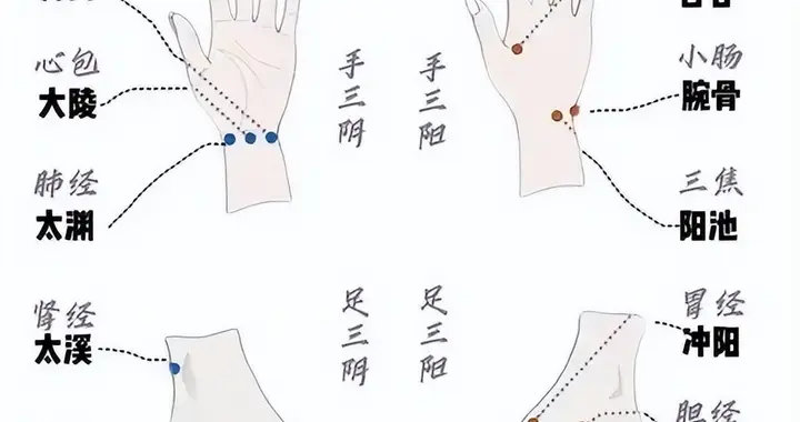 天星十二穴与原络配穴规律