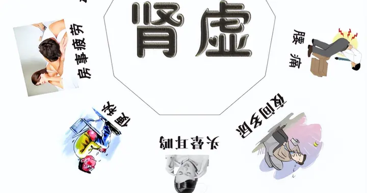 藏在身边的补肾药！山茱萸竟能横扫多种肾虚