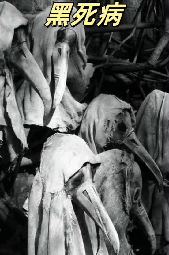 鼠疫，Black Death，中世纪末期的瘟疫，最早爆发于中亚，蒙古西...