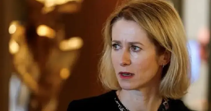 欧盟女外长牵头"反华联盟"？31国联动传闻背后，美国态度转引热议