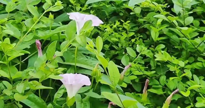 1亿“大龄剩女”背后：资本捧杀女性的真相，远比你想的更残酷