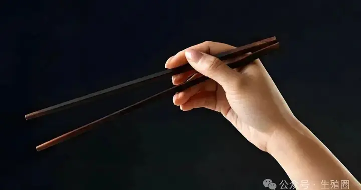 想快速抱娃？老公的筷子竟比老婆的餐盘更关键，顶刊发布饮食禁区