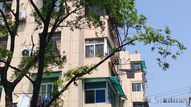 沐芸悦读成长：谁懂啊！明明是身体抱恙没法