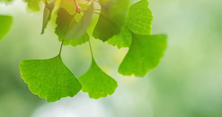 聪明的管理者，都有这1个特点