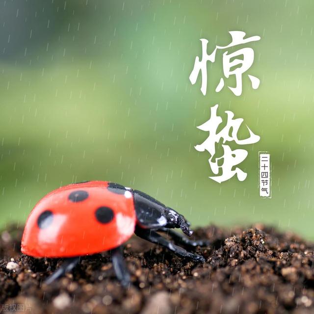 “雷打惊蛰前，二月雨雪连；雷打惊蛰后，旱到谷雨节”，有道理？