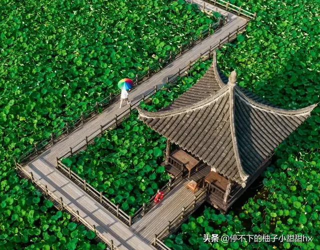 迄今为止，我最喜欢的旅游城市出现了…